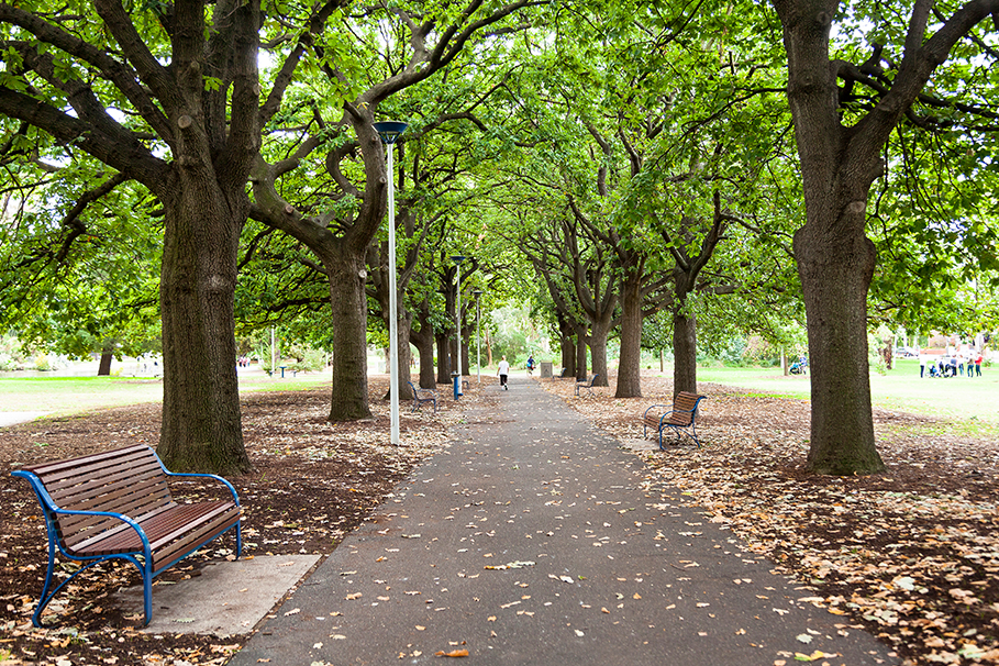 MVCC_shaded_path