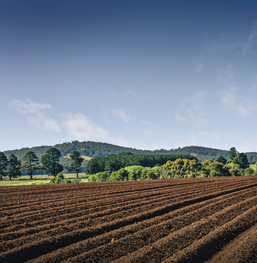 MSC_Gordon_ploughed_field