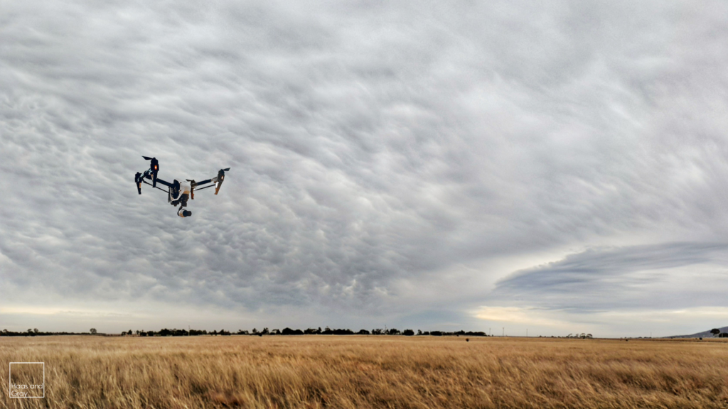 Wyndham_Weed_Mapping_Drone